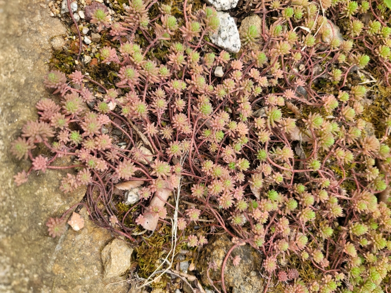 20260322_120047.jpg 이미지