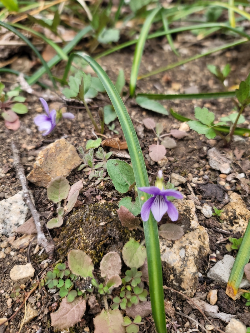 20260322_115955.jpg 이미지