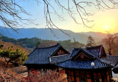 해맞이2.jpg 이미지