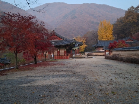 KakaoTalk_20260127_144958761.jpg 이미지