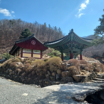 KakaoTalk_20260313_140346168.jpg 이미지