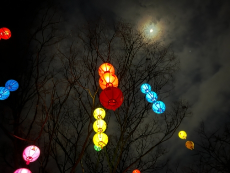 IMG_8465.JPG 이미지