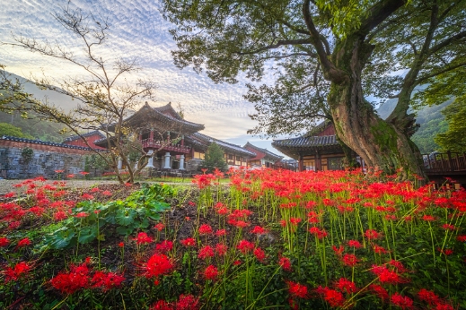 81c63156b0172.jpg 이미지